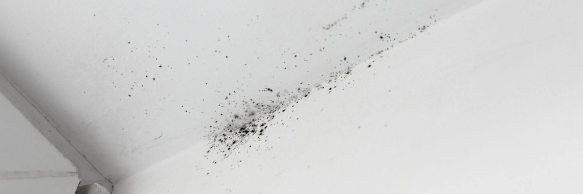 mold in the corner of the window on a white wall Texture background.
